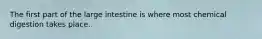 The first part of the large intestine is where most chemical digestion takes place.