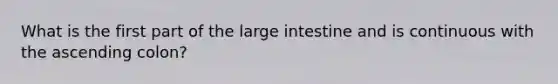 What is the first part of the large intestine and is continuous with the ascending colon?