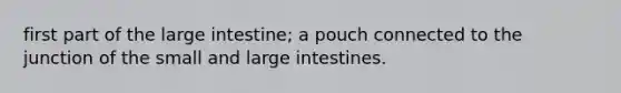 first part of the large intestine; a pouch connected to the junction of the small and large intestines.