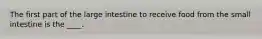 The first part of the large intestine to receive food from the small intestine is the ____.