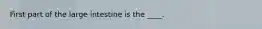 First part of the large intestine is the ____.