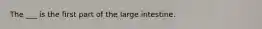 The ___ is the first part of the large intestine.