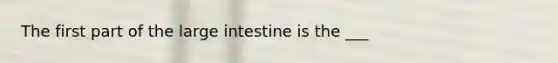 The first part of the large intestine is the ___