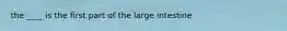 the ____ is the first part of the large intestine