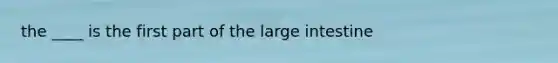 the ____ is the first part of the large intestine