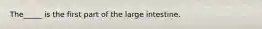 The_____ is the first part of the large intestine.