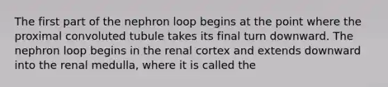 The first part of the nephron loop begins at the point where the proximal convoluted tubule takes its final turn downward. The nephron loop begins in the renal cortex and extends downward into the renal medulla, where it is called the