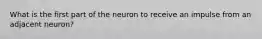 What is the first part of the neuron to receive an impulse from an adjacent neuron?