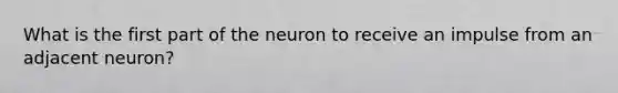 What is the first part of the neuron to receive an impulse from an adjacent neuron?