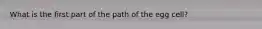 What is the first part of the path of the egg cell?