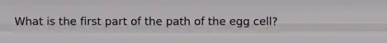 What is the first part of the path of the egg cell?