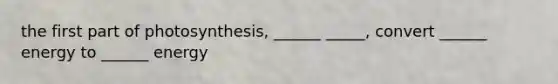 the first part of photosynthesis, ______ _____, convert ______ energy to ______ energy