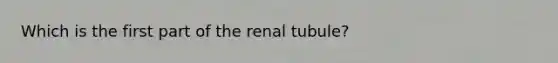 Which is the first part of the renal tubule?