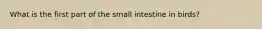 What is the first part of the small intestine in birds?