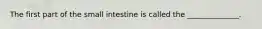 The first part of the small intestine is called the ______________.