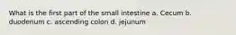 What is the first part of the small intestine a. Cecum b. duodenum c. ascending colon d. jejunum