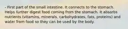 - First part of the small intestine. It connects to the stomach. Helps further digest food coming from the stomach. It absorbs nutrients (vitamins, minerals, carbohydrates, fats, proteins) and water from food so they can be used by the body.