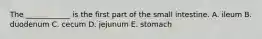 The ____________ is the first part of the small intestine. A. ileum B. duodenum C. cecum D. jejunum E. stomach