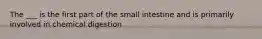 The ___ is the first part of the small intestine and is primarily involved in chemical digestion