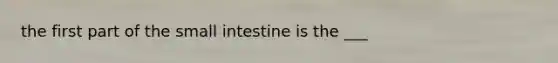 the first part of the small intestine is the ___