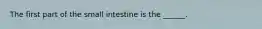 The first part of the small intestine is the ______.