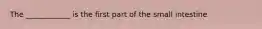 The ____________ is the first part of the small intestine