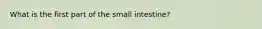 What is the first part of the small intestine?