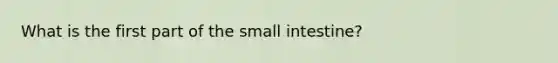 What is the first part of the small intestine?