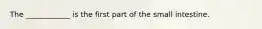 The ____________ is the first part of the small intestine.