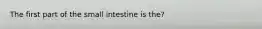 The first part of the small intestine is the?