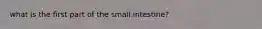 what is the first part of the small intestine?