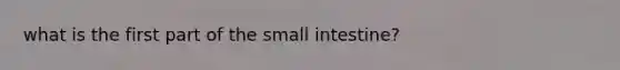 what is the first part of the small intestine?