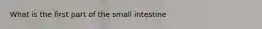 What is the first part of the small intestine