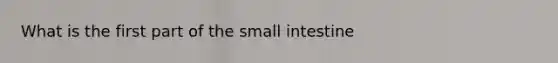 What is the first part of the small intestine