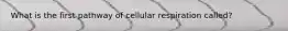 What is the first pathway of cellular respiration called?