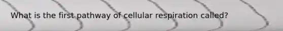 What is the first pathway of cellular respiration called?