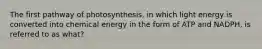 The first pathway of photosynthesis, in which light energy is converted into chemical energy in the form of ATP and NADPH, is referred to as what?