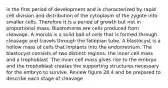 is the first period of development and is characterized by rapid cell division and distribution of the cytoplasm of the zygote into smaller cells. Therefore it is a period of growth but not in proportional mass. Blastomeres are cells produced from cleavage. A morula is a solid ball of cells that is formed through cleavage and travels through the fallopian tube. A blastocyst is a hollow mass of cells that implants into the endometrium. The blastocyst consists of two distinct regions: the inner cell mass and a trophoblast. The inner cell mass gives rise to the embryo and the trophoblast creates the supporting structures necessary for the embryo to survive. Review figure 28.4 and be prepared to describe each stage of cleavage