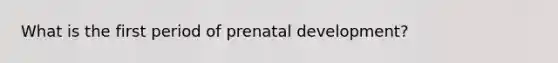 What is the first period of prenatal development?