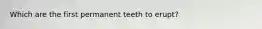 Which are the first permanent teeth to erupt?