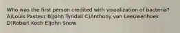 Who was the first person credited with visualization of bacteria? A)Louis Pasteur B)John Tyndall C)Anthony van Leeuwenhoek D)Robert Koch E)John Snow