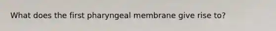 What does the first pharyngeal membrane give rise to?