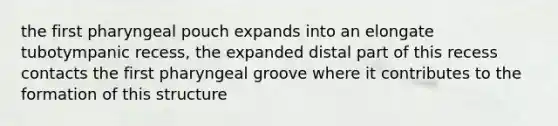 the first pharyngeal pouch expands into an elongate tubotympanic recess, the expanded distal part of this recess contacts the first pharyngeal groove where it contributes to the formation of this structure