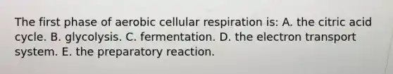 The first phase of aerobic <a href='https://www.questionai.com/knowledge/k1IqNYBAJw-cellular-respiration' class='anchor-knowledge'>cellular respiration</a> is: A. the citric acid cycle. B. glycolysis. C. fermentation. D. the <a href='https://www.questionai.com/knowledge/kbvjAonm6A-electron-transport-system' class='anchor-knowledge'>electron transport system</a>. E. the preparatory reaction.