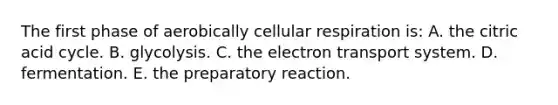 The first phase of aerobically cellular respiration is: A. the citric acid cycle. B. glycolysis. C. the electron transport system. D. fermentation. E. the preparatory reaction.