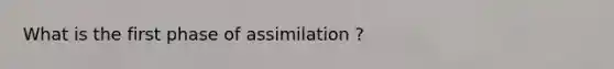 What is the first phase of assimilation ?