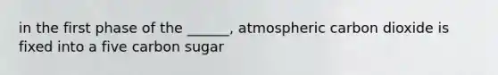 in the first phase of the ______, atmospheric carbon dioxide is fixed into a five carbon sugar