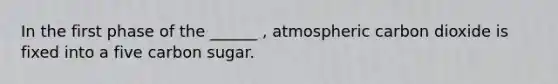 In the first phase of the ______ , atmospheric carbon dioxide is fixed into a five carbon sugar.