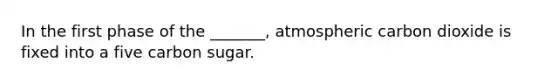 In the first phase of the _______, atmospheric carbon dioxide is fixed into a five carbon sugar.