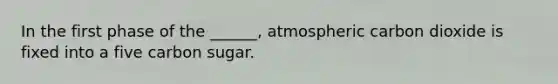 In the first phase of the ______, atmospheric carbon dioxide is fixed into a five carbon sugar.